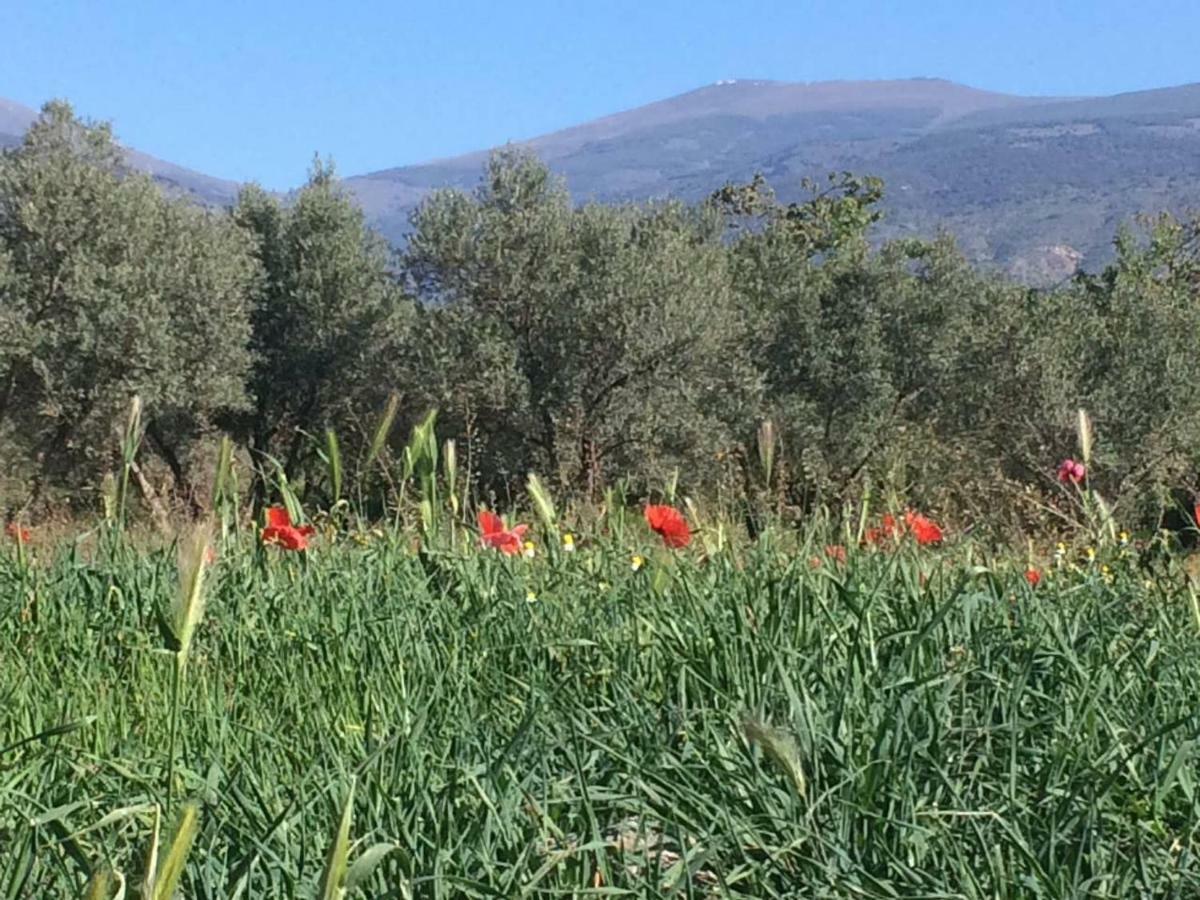 Villa Ugijar Εξωτερικό φωτογραφία