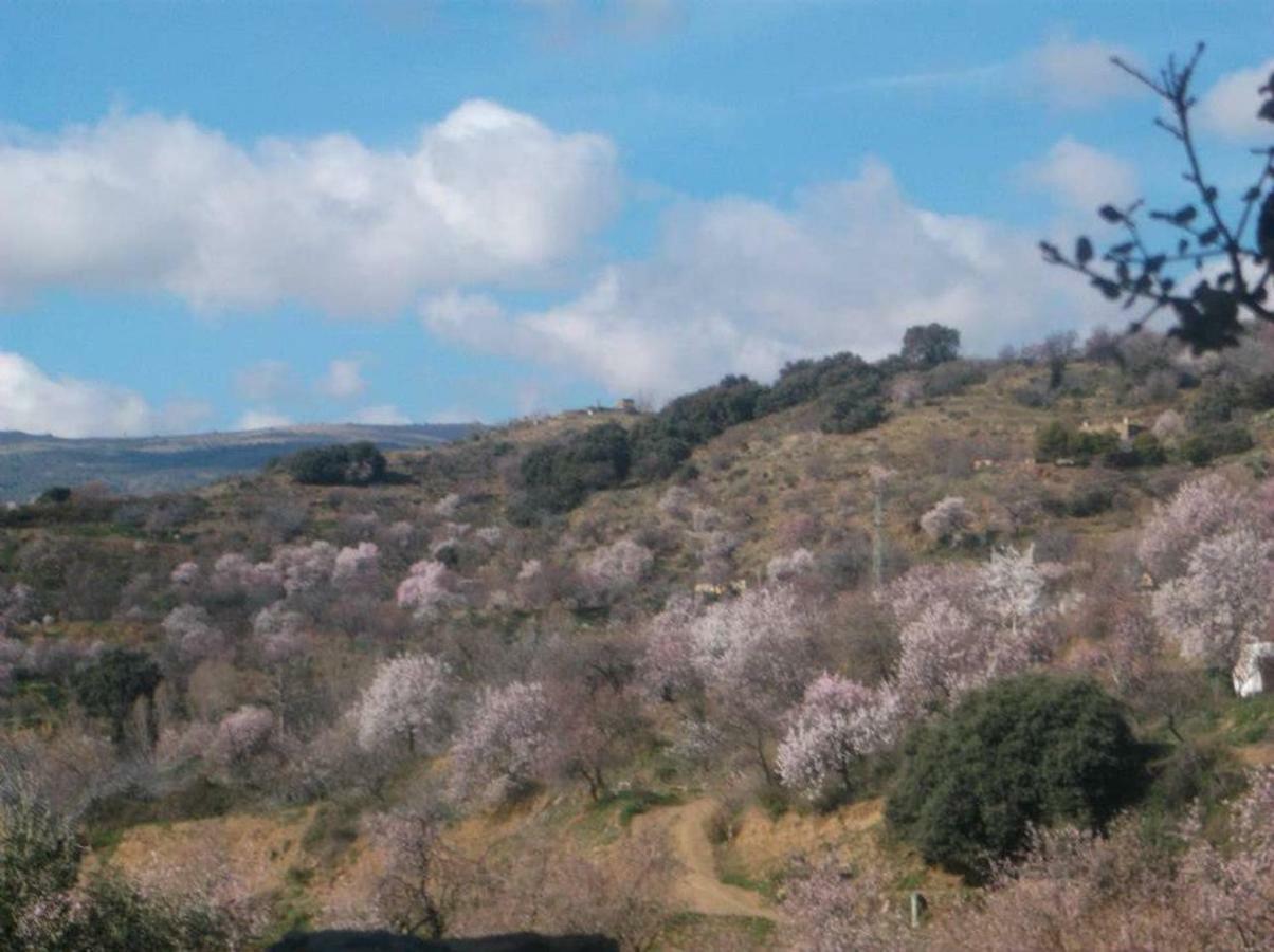 Villa Ugijar Εξωτερικό φωτογραφία